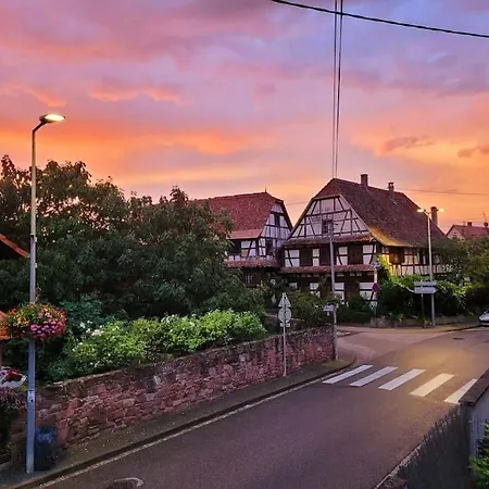 Maison 115 M2 Village Alsacien 別荘 Eckwersheim